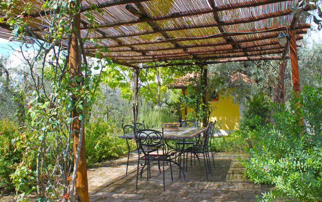 Olive Grove Sabina - Photo 3