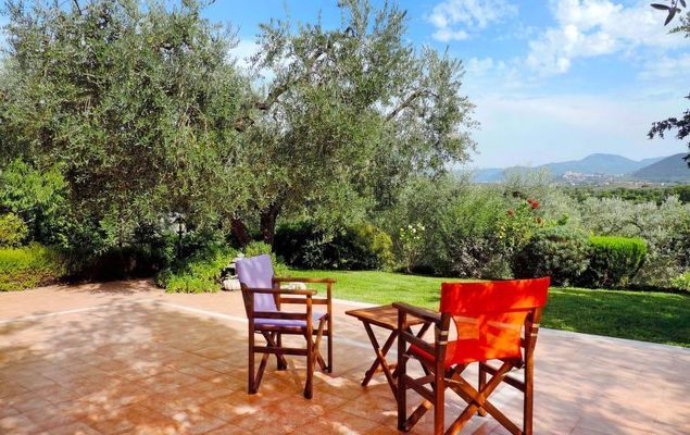 Olive Grove Sabina - Photo 5