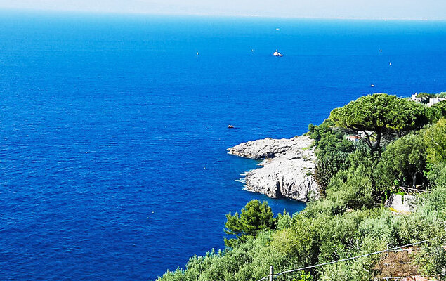 Giardino Caprese - Photo 25