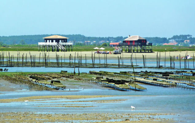 La Résidence - Photo 25