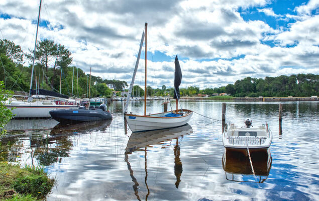 Primavéra - Photo 27