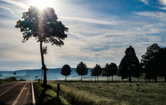 Reinskopf - Photo 40