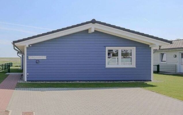 Herzmuschel - Photo 16