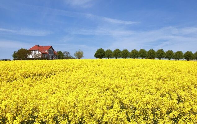 Gollwitzer Park (Insel Poel) - Photo 13