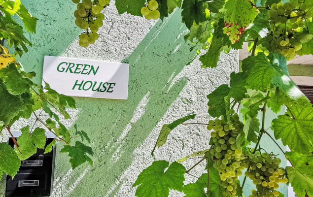 Green House - Photo 25
