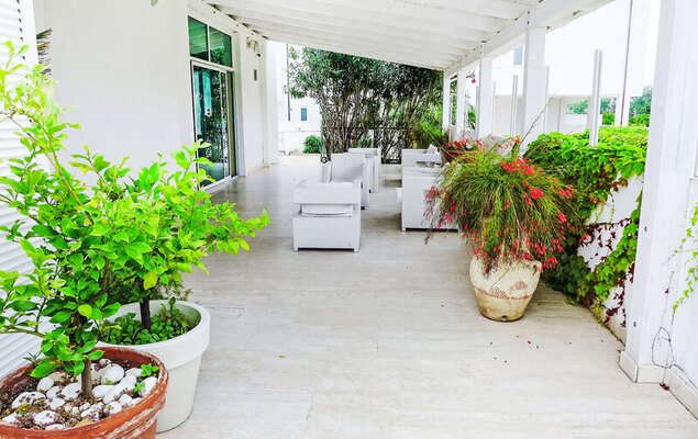 Stella Marina - Photo 13