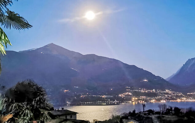 Green House - Photo 19