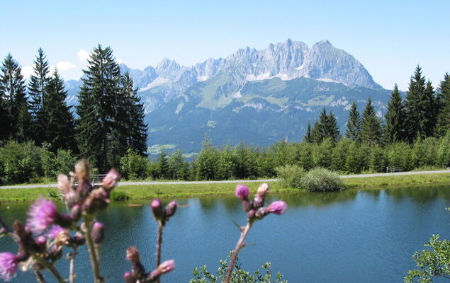 Ferienwohnungen Hochfeld - Photo 20