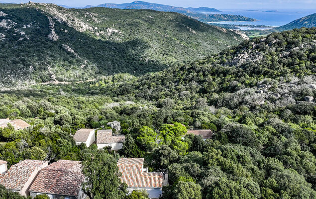 Pietralunga - Photo 5