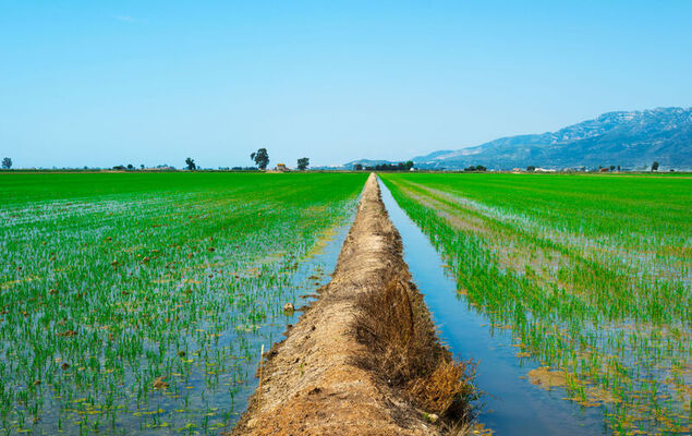 Res Mediterraneo - Photo 25