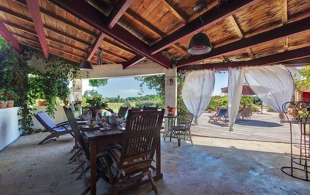 Mas st Germain - Photo 29