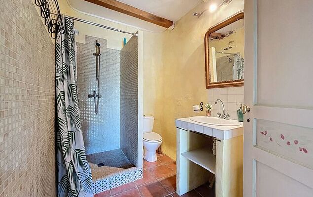 Mas st Germain - Photo 66