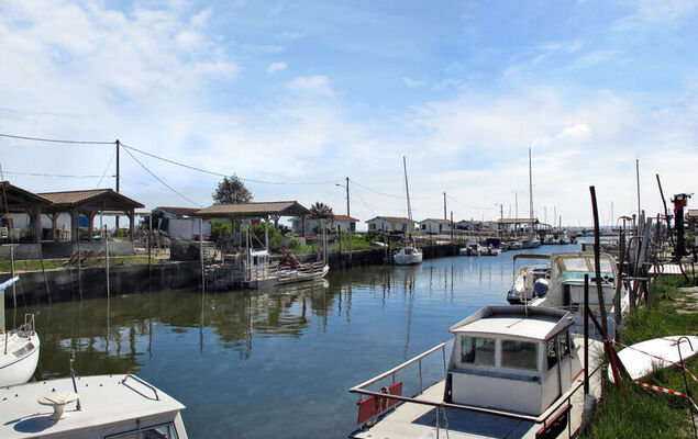  Villa Camélia - Photo 27