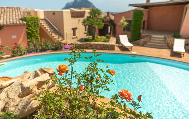 Corbezzolo 7 - Vista Village - Photo 30