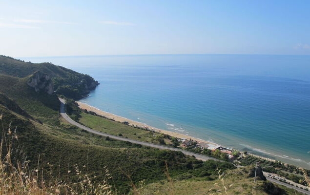 Rosa Marina - Photo 21