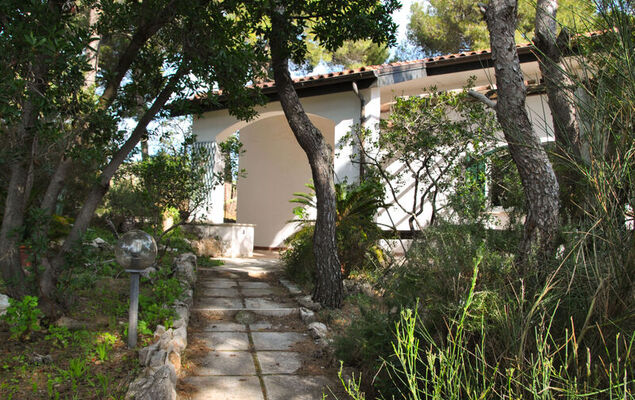 Corbezzolo - Photo 3