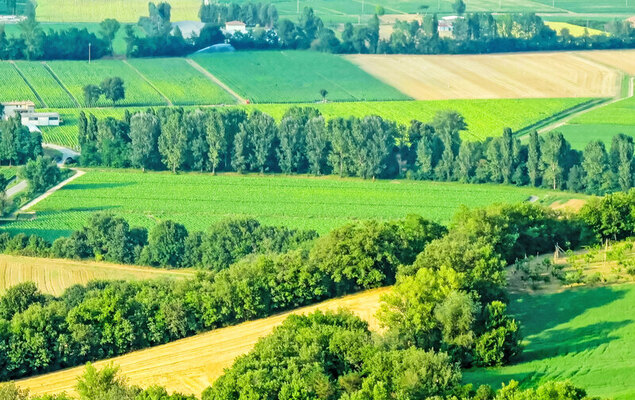 Montebello - Photo 26