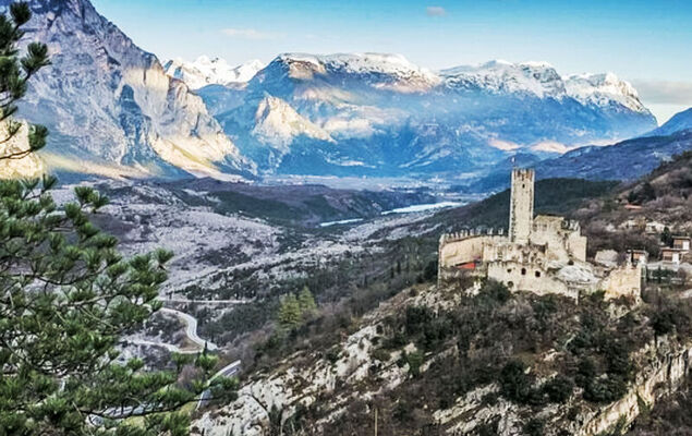 Calicantus - Nespolo - Photo 24