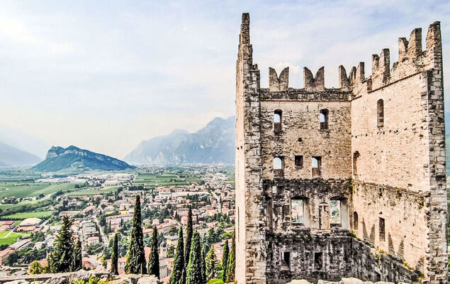 Calicantus - Nespolo - Photo 26